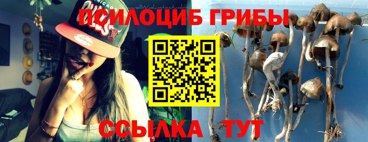 Галлюциногенные грибы Magic Shrooms  Псилоцибиновые грибы Cubensis  Вход с VPN  Анапа 
